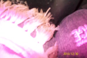 Honda Accord 2003 for Sale